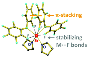 Graphical abstract: Lewis acidic alkaline earth metal complexes with a perfluorinated diphenylamide ligand