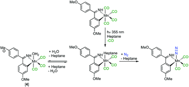 Graphical abstract: Time-resolved infra-red spectroscopy reveals competitive water and dinitrogen coordination to a manganese(i) carbonyl complex