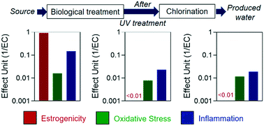 Graphical abstract: Application of in vitro bioassays for water quality monitoring in three drinking water treatment plants using different treatment processes including biological treatment, nanofiltration and ozonation coupled with disinfection