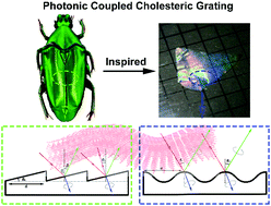 Graphical abstract: When nanocellulose meets diffraction grating: freestanding photonic paper with programmable optical coupling