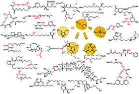 Graphical abstract: Synthesis of chiral propargyl alcohols following the base-induced elimination protocol: application in the total synthesis of natural products