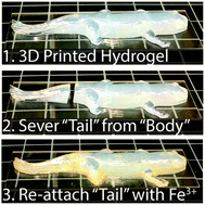 Graphical abstract: 3D printed self-adhesive PEGDA–PAA hydrogels as modular components for soft actuators and microfluidics