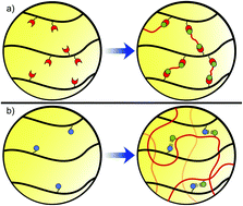 Graphical abstract: Hydrogel scaffolds for tissue engineering: the importance of polymer choice