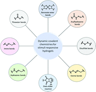 Graphical abstract: Dynamic covalent bonds in self-healing, shape memory, and controllable stiffness hydrogels