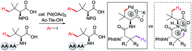 Graphical abstract: Synthesis of amino acids and peptides with bulky side chains via ligand-enabled carboxylate-directed γ-C(sp3)–H arylation