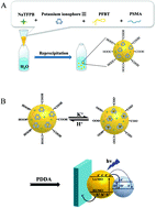 Graphical abstract: Ion-selective polymer dots for photoelectrochemical detection of potassium ions