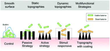 Graphical abstract: Tuning surface topographies on biomaterials to control bacterial infection