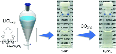 Graphical abstract: Strapped calix[4]pyrrole as a lithium salts selective receptor through separated ion-pair binding