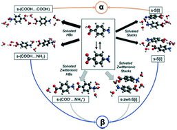 Graphical abstract: Can solvated intermediates inform us about nucleation pathways? The case of β-pABA