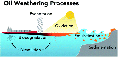 Graphical abstract: How the 2010 Deepwater Horizon spill reshaped our understanding of crude oil photochemical weathering at sea: a past, present, and future perspective