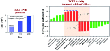 Graphical abstract: Tris(2-chloroethyl) phosphate, a pervasive flame retardant: critical perspective on its emissions into the environment and human toxicity