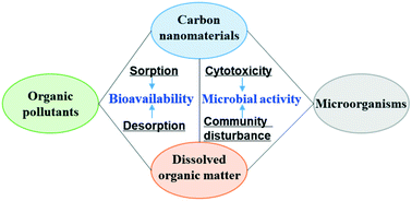 Graphical abstract: Interactions between organic pollutants and carbon nanomaterials and the associated impact on microbial availability and degradation in soil: a review