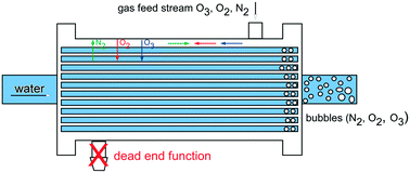 Graphical abstract: Enhancement of ozonation efficiency employing dead-end hollow fiber membranes