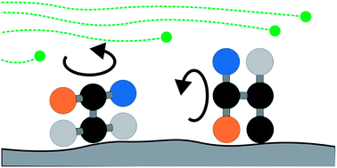 Graphical abstract: Cooperative and synchronized rotation in motorized porous frameworks: impact on local and global transport properties of confined fluids