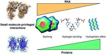 Graphical abstract: Systematic analysis of the interactions driving small molecule–RNA recognition