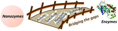 Graphical abstract: Nanozyme's catching up: activity, specificity, reaction conditions and reaction types