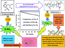 Graphical abstract: A ZnII complex of ornidazole with decreased nitro radical anions that is still highly active on Entamoeba histolytica