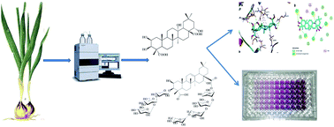 Graphical abstract: Antiproliferative activity of new pentacyclic triterpene and a saponin from Gladiolus segetum Ker-Gawl corms supported by molecular docking study