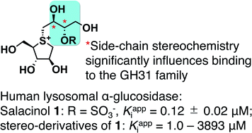 Graphical abstract: Ligand compatibility of salacinol-type α-glucosidase inhibitors toward the GH31 family