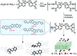 Graphical abstract: The spirobichroman-based polyimides with different side groups: from structure–property relationships to chain packing and gas transport performance