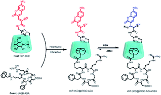 Graphical abstract: High-efficiency dynamic sensing of biothiols in cancer cells with a fluorescent β-cyclodextrin supramolecular assembly