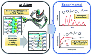 Graphical abstract: Identification of a nanomolar affinity α-synuclein fibril imaging probe by ultra-high throughput in silico screening