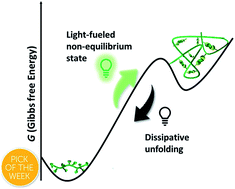 Graphical abstract: Light-fueled dynamic covalent crosslinking of single polymer chains in non-equilibrium states