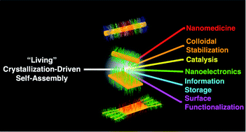 Graphical abstract: Emerging applications for living crystallization-driven self-assembly