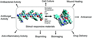 Graphical abstract: Low molecular weight self-assembling peptide-based materials for cell culture, antimicrobial, anti-inflammatory, wound healing, anticancer, drug delivery, bioimaging and 3D bioprinting applications