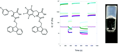 Graphical abstract: Impact of gelation method on thixotropic properties of phenylalanine-derived supramolecular hydrogels