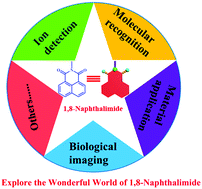 Graphical abstract: 1,8-Naphthalimide-based fluorescent chemosensors: recent advances and perspectives