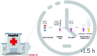 Graphical abstract: Can a field molecular diagnosis be accurate? A performance evaluation of colorimetric RT-LAMP for the detection of SARS-CoV-2 in a hospital setting