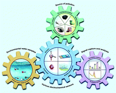 Graphical abstract: Electrochemical detection of heavy metal ions in water