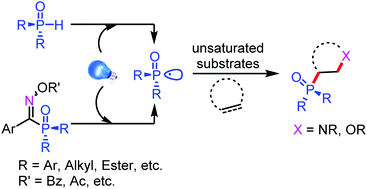 Graphical abstract: Visible-light-facilitated P-center radical addition to C [[double bond, length as m-dash]] X (X = C, N) bonds results in cyclizations