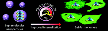 Graphical abstract: A self-assembled subphthalocyanine-based nanophotosensitiser for photodynamic therapy