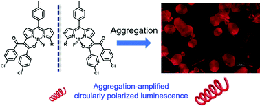 Graphical abstract: Circularly polarized luminescence from helical N,O-boron-chelated dipyrromethene (BODIPY) derivatives