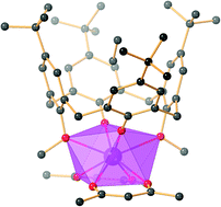 Graphical abstract: Exploiting complementary ligands for the construction of square antiprismatic monometallic lanthanide SMMs