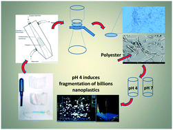 Graphical abstract: Release of microplastic fibres and fragmentation to billions of nanoplastics from period products: preliminary assessment of potential health implications