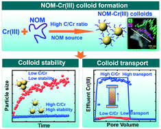 Graphical abstract: Formation, aggregation, and transport of NOM–Cr(iii) colloids in aquatic environments