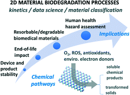 Graphical abstract: Chemical degradation kinetics for two-dimensional materials in natural and biological environments – a data-driven review