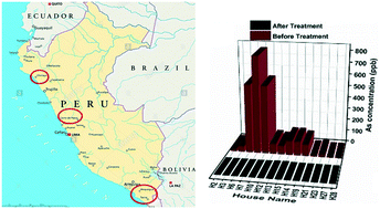 Graphical abstract: Arsenic removal from Peruvian drinking water using milk protein nanofibril–carbon filters: a field study