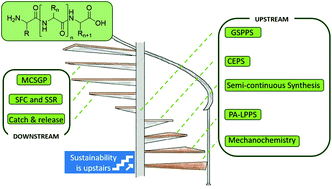 Graphical abstract: Sustainability in peptide chemistry: current synthesis and purification technologies and future challenges