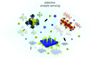 Graphical abstract: Harnessing selectivity in chemical sensing via supramolecular interactions: from functionalization of nanomaterials to device applications