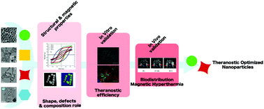 Graphical abstract: Unveiling the role of surface, size, shape and defects of iron oxide nanoparticles for theranostic applications