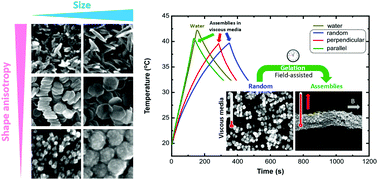 Graphical abstract: How size, shape and assembly of magnetic nanoparticles give rise to different hyperthermia scenarios