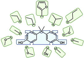 Graphical abstract: A guide towards safe, functional and renewable BPA alternatives by rational molecular design: structure–property and structure–toxicity relationships