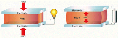 Graphical abstract: The intrinsic piezoelectric properties of materials – a review with a focus on biological materials