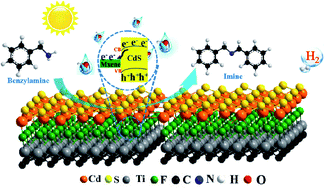 Graphical abstract: Ultrathin 2D/2D Ti3C2Tx/semiconductor dual-functional photocatalysts for simultaneous imine production and H2 evolution