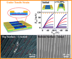 Graphical abstract: Bending TIPS-pentacene single crystals: from morphology to transistor performance