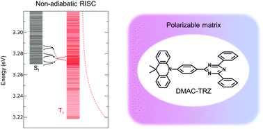 Graphical abstract: Effective models for TADF: the role of the medium polarizability